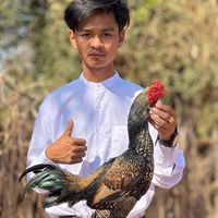 u.pyae.sone.hein