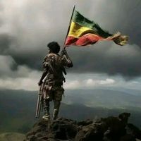 amiharahulemashenafinew