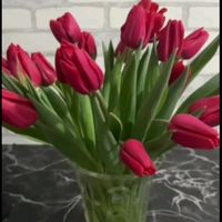 arzu...555