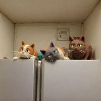 cat_mpa36