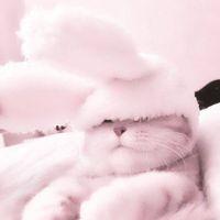 オリジナル楽曲 - xxx