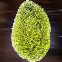 original sound - Moldavite NZ
