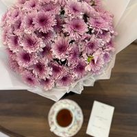 knm2_00