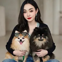 original sound - tamcollide1