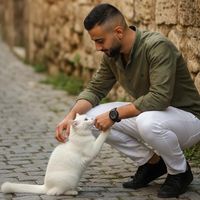 الصوت الأصلي