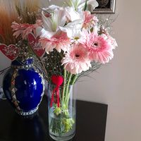 sakinaabouelhouda