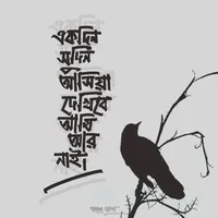 original sound - 10_capsule_