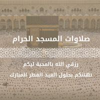 adelmamdouh17