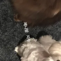 original sound - ncwhp._