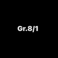 eight1swt