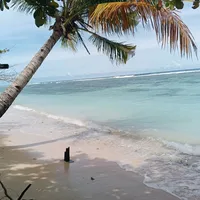 Percuma By Vendetta R Melanesian B Versi PNG