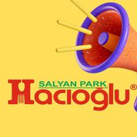 salyanpark