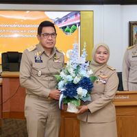 pattani404