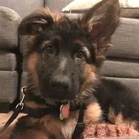 original sound - nakaharalvrr