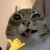 original sound - youraffiliator