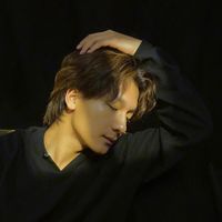 hanzinim001