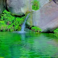 kohesuleman8