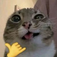suara asli - inimincoopys! - am prem di bio