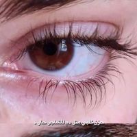 jeon_315