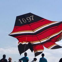 suara asli - KRUCUK_KIDZ