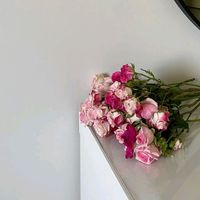 n__.a19