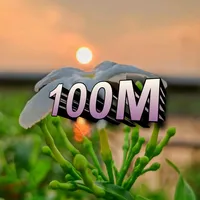 original sound - 100mm100k