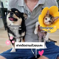 bbonbonmr