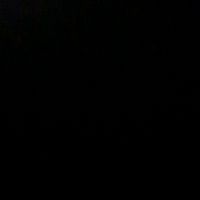 omer.5968