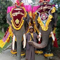 kyaw.ye.aung698