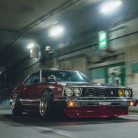 nenn81