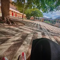 original sound - chat_noir_24
