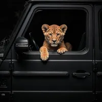 original sound - walisultani999