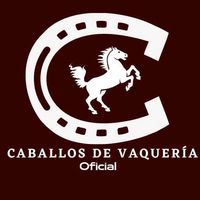 caballos_de_vaqueria_ofi