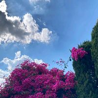 original sound - NEPHOPHILE 2.2