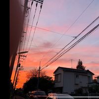 オリジナル楽曲 - 亀丸!ଘ(੭ˊ꒳ˋ)੭✧