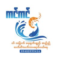 chit.zin.myint.th