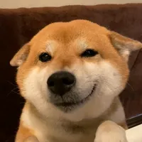 original sound - userwhoamip0q