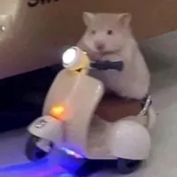 original sound - qchi_13