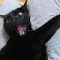 soy_kath17