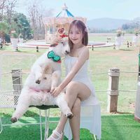 pim_miniii