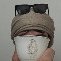 الصوت الأصلي