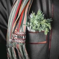 الصوت الأصلي