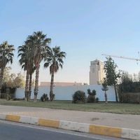 asm4_aliii