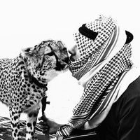 الصوت الأصلي