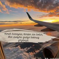 arzymm0694