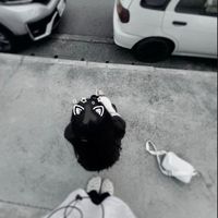原聲 - 正版書葵安🤞🏻