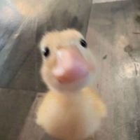 nhạc nền - (◠‿・)—☆