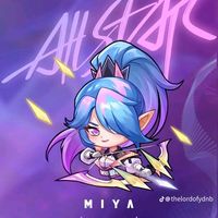 mgsanko12345
