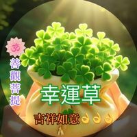 原聲 - 江善觀