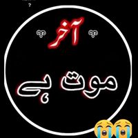 aun.muhammad3